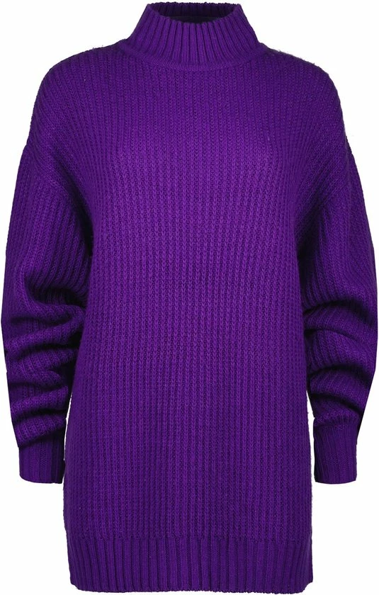 Raizzed X Moïse Mini Dress-SOPHIE Dames Jurk - Maat L 4 Raizzed X Moïse Mini Dress-SOPHIE Dames Jurk - Maat L - Afbeelding 4