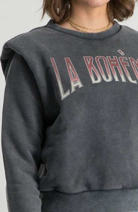 Colourful Rebel La Bohème Trui Grijs Dames - Loose Fit - Katoen - M 5 Colourful Rebel La Bohème Trui Grijs Dames - Loose Fit - Katoen - M - Afbeelding 5