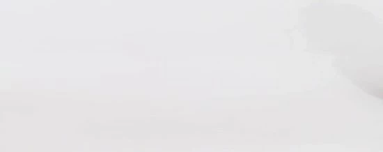 Didriksons TANJA WNS PARKA 6 Dames Outdoor Parka - Maat 40 2 Didriksons TANJA WNS PARKA 6 Dames Outdoor Parka - Maat 40 - Afbeelding 2