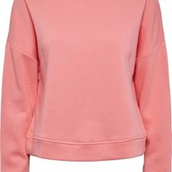 PIECES PCCHILLI LS SWEAT NOOS BC Dames Trui - Maat L