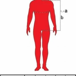 Fruit Of The Loom Sweater Raglan Sweat Ronde Hals Groen Maat XL -Dameskleding Verkoop 550x765 3