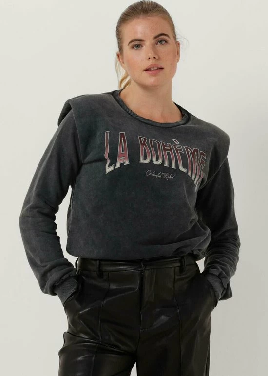 Colourful Rebel La Bohème Trui Grijs Dames - Loose Fit - Katoen - M 10 Colourful Rebel La Bohème Trui Grijs Dames - Loose Fit - Katoen - M - Afbeelding 10