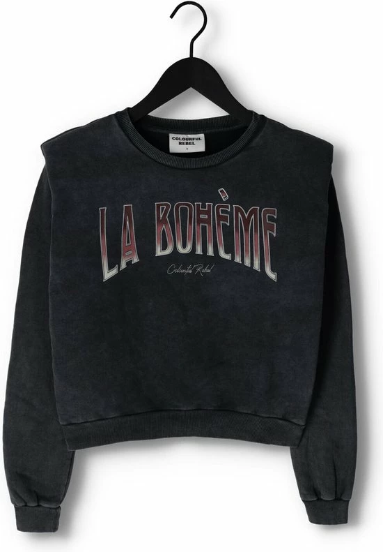 Colourful Rebel La Bohème Trui Grijs Dames - Loose Fit - Katoen - M 11 Colourful Rebel La Bohème Trui Grijs Dames - Loose Fit - Katoen - M - Afbeelding 11