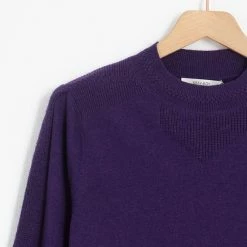 Sissy Boy Sissy-Boy - Paarse Fijngebreide Trui -Dameskleding Verkoop 550x796 5