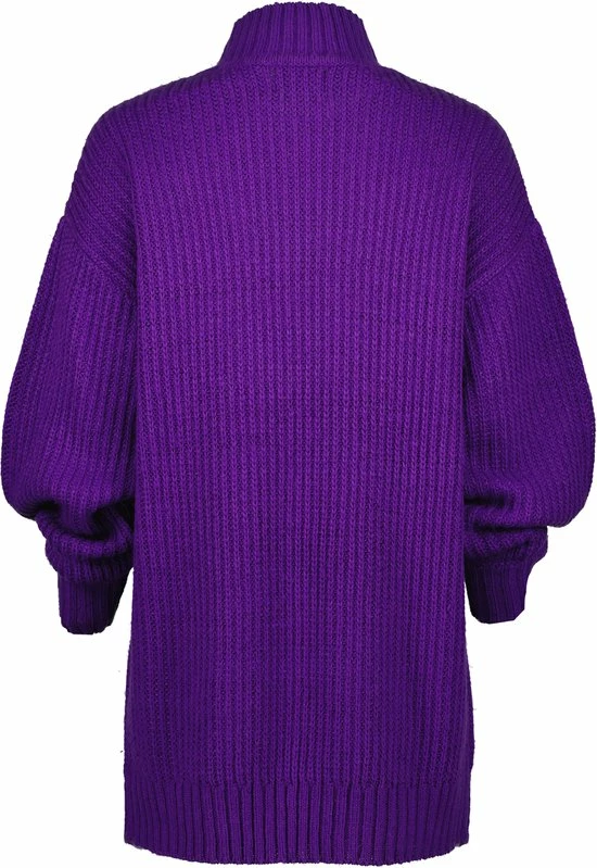 Raizzed X Moïse Mini Dress-SOPHIE Dames Jurk - Maat L 2 Raizzed X Moïse Mini Dress-SOPHIE Dames Jurk - Maat L - Afbeelding 2