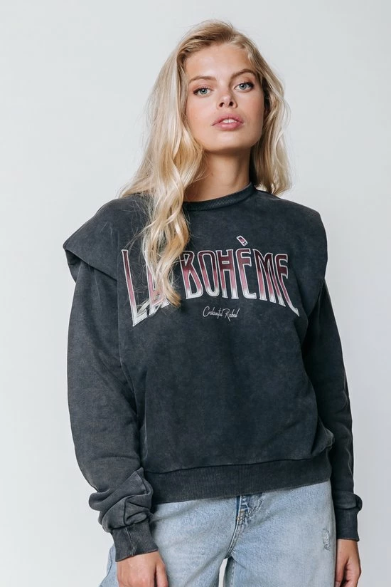 Colourful Rebel La Bohème Trui Grijs Dames - Loose Fit - Katoen - M 1 Colourful Rebel La Bohème Trui Grijs Dames - Loose Fit - Katoen - M