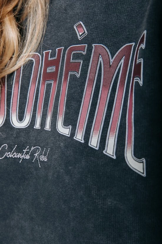 Colourful Rebel La Bohème Trui Grijs Dames - Loose Fit - Katoen - M 4 Colourful Rebel La Bohème Trui Grijs Dames - Loose Fit - Katoen - M - Afbeelding 4