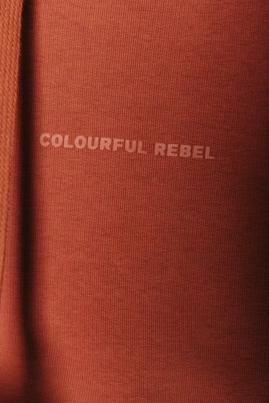 Colourful Rebel Boho Bouquet Hoodie Bruin Dames - Polyester - L 3 Colourful Rebel Boho Bouquet Hoodie Bruin Dames - Polyester - L - Afbeelding 3